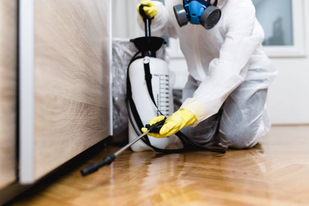 Best Cockroach Control Services  in Dawsonville, GA