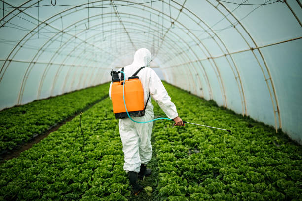 Best Pest Removal Services  in Dawsonville, GA