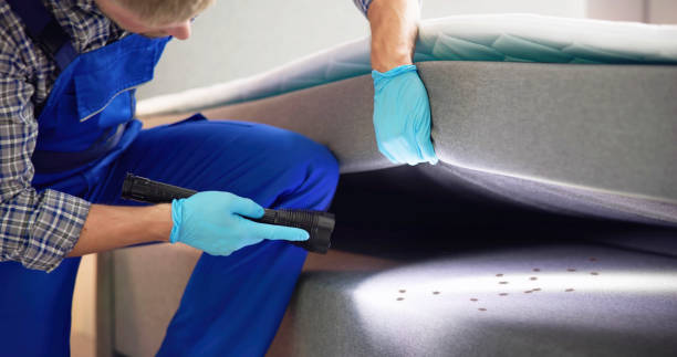Best Bed Bug Extermination  in Dawsonville, GA