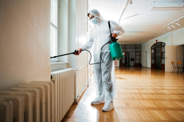 Wasp Removal Services in Dawsonville, GA